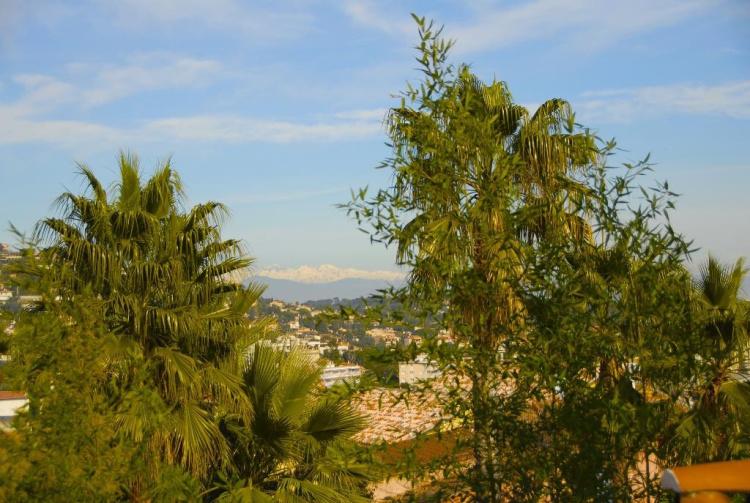 biens/1/536a76f94cf7535158f66cfbd4b113b6/0f1fd58ae27452e7316d8b4ac62235ff.jpg