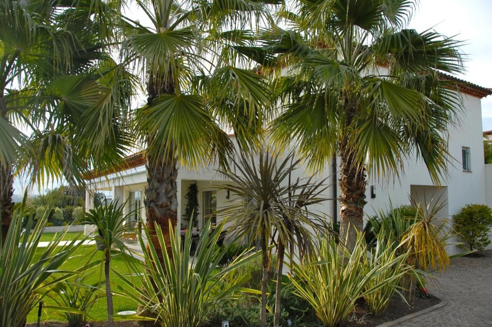 Image_1, Villa, Villeneuve-Loubet, ref :a720vm